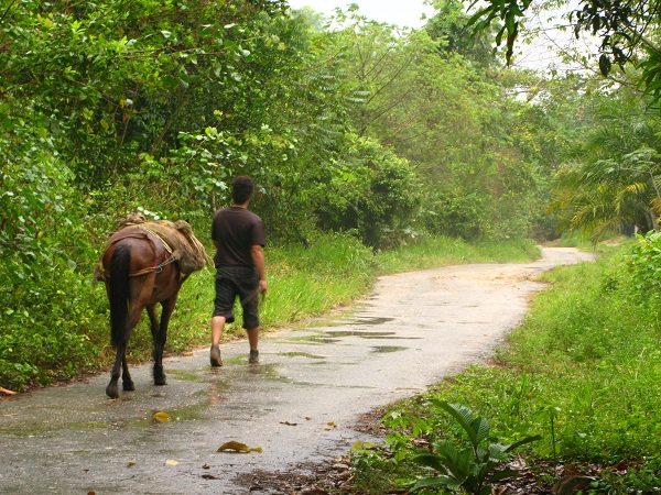 files/blog/Presentation/Projet/Ou_sommes_nous/Blog/Balade cheval.jpg
