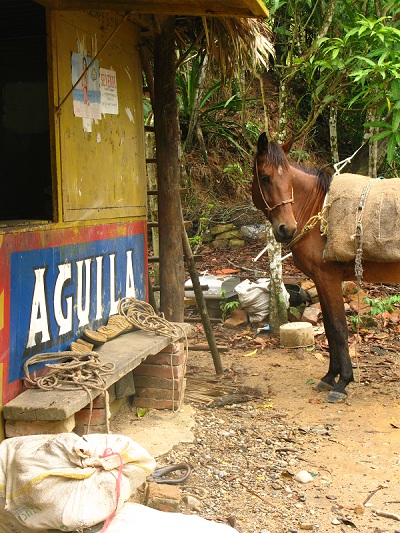 files/blog/Presentation/Projet/Ou_sommes_nous/Blog/Campagne colombienne.jpg