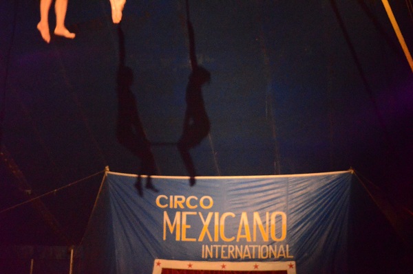 files/blog/Presentation/Projet/Ou_sommes_nous/Blog/Gala cirkovention.jpg